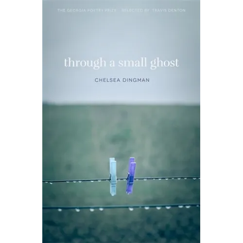 Through a Small Ghost: Poems