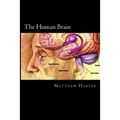 The Human Brain: A Fascinating Book Containing Human Brain Facts, Trivia, Images & Memory Recall Quiz: Suitable for Adults & Children