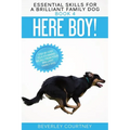 Here Boy!: Step-by-Step to a Stunning Recall from your Brilliant Family Dog