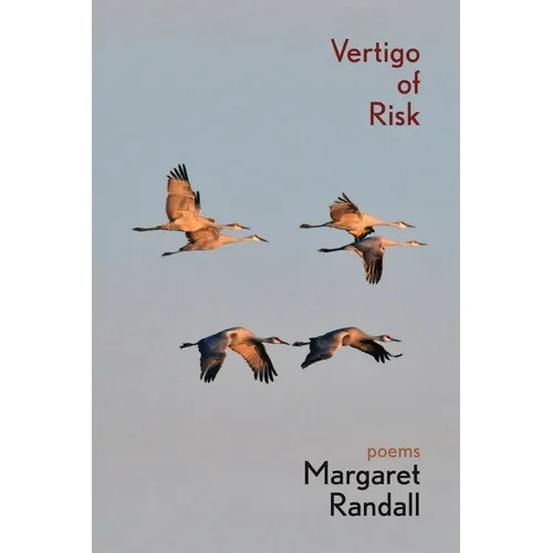 Vertigo of Risk