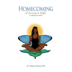 Homecoming: A Journey to Light - Paperback