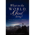 What in the World Is God Doing?