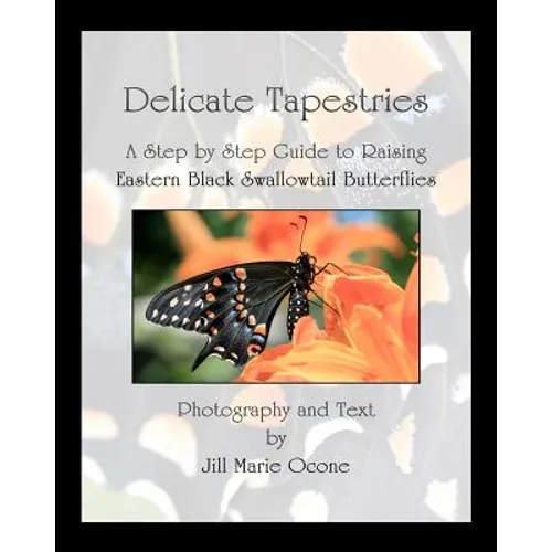 Delicate Tapestries: A Step by Step Guide to Raising Eastern Black Swallowtail Butterflies