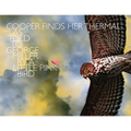 Cooper Finds Her Thermal: As Told to George Miller by a Little Pink Bird