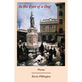 In the Eyes of a Dog