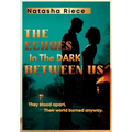 The Echoes In The Dark Between Us: They stood apart. Their world burned anyway.