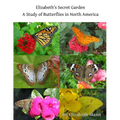 Elizabeth's Secret Garden: A Study of Butterflies in North America - 2nd edition