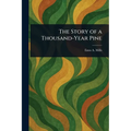 The Story of a Thousand-Year Pine
