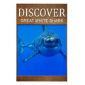 Great White Shark - Discover: Early reader's wildlife photography book