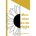 Bloom Where You Are Planted