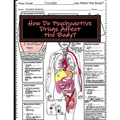 How Do Psychoactive Drugs Affect the Body?: Understanding How Drugs Affect the Synapse and Body Organs