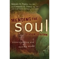 Mending the Soul: Understanding and Healing Abuse
