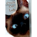 Crazy Cat Lady Notebook