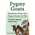 Pygmy Goats. Miniature Goats and Pygmy Goats As Pets. A Guide to Keeping Pygmy Goats.