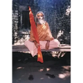 Dandi Swami: The Story of the Guru's Will, Maharishi Mahesh Yogi, the Shankaracharyas of Jyotir Math, & Meetings with Dandi Swami N