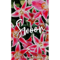 Swoon - Alternative