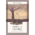 Glimpses of Glory: Prayers for the Church Year: Year C