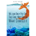 We can Only Put Out The Fire, Not Catch What Started it.
