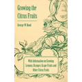 Growing the Citrus Fruits - With Information on Growing Lemons, Oranges, Grape Fruits and Other Citrus Fruits