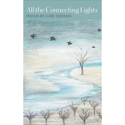 All the Connecting Lights