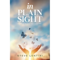 In Plain Sight: Learn to See What Most People Miss and Embrace Life as it Is!