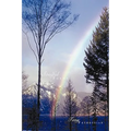 Soulful Poems