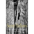 Secret Hollows: A Mary O'Reilly Paranormal Mystery - Book Seven