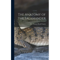 The Anatomy of the Salamander