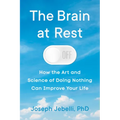 The Brain at Rest: How the Art and Science of Doing Nothing Can Improve Your Life