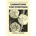 Carnations For Everyman