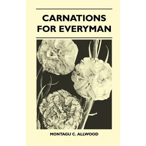 Carnations For Everyman
