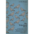 The Widowhood Book - A Complete Guide to the Best Methods of Racing Pigeons on the Widowhood System as Described by the Foremost Experts in Britain, B