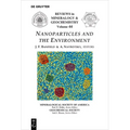 Nanoparticles and the Environment