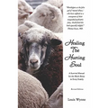 Healing the Hurting Soul: Revised Edition