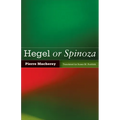 Hegel or Spinoza