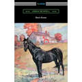 Black Beauty