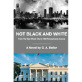 Not Black and White: From The Very Windy City to 1600 Pennsylvania Avenue