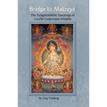 Bridge to Maitreya: The Enlightenment Teachings of Lucille Cedercrans Schaible