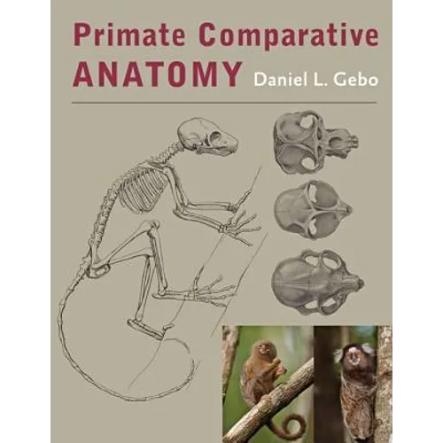 Primate Comparative Anatomy