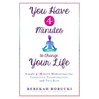You Have 4 Minutes to Change Your Life: Simple 4-Minute Meditations for Inspiration, Transformation, and True Bliss - Paperback