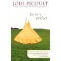 Picture Perfect