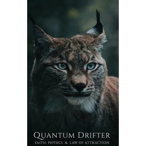 QUANTUM DRIFTER Faith, Physics & Law of Attraction