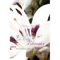 When the Lily Blooms: Reflections to Restore the Heart and Soul