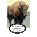 Wild Animals at Home