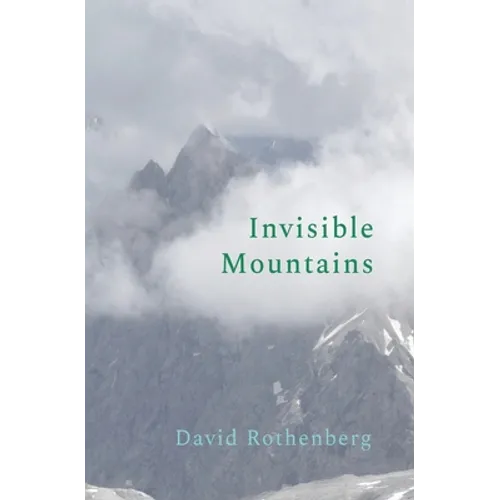 Invisible Mountains