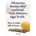 Silkworms Bombyx Mori explained. From Silkworm Eggs To Silk. How to make silk at home.