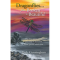 Dragonflies...From Broken to Beautiful