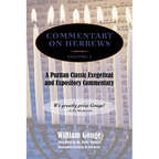 Commentary on Hebrews: Exegetical and Expository - Vol. 1 (Heb. 1-7)