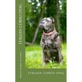 italian corso dog: italian corso dog