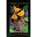 Small Wonders